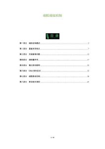 端?？s短機(jī)制-洞察及研究