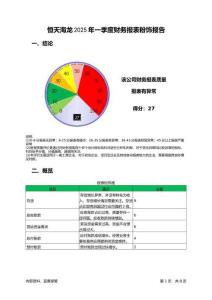 恒天海龍2025年一季度財(cái)務(wù)報(bào)表粉飾報(bào)告
