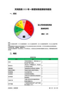 天和防務(wù)2025年一季度財務(wù)報表粉飾報告