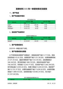 圣泰材料2025年一季度財務(wù)狀況報告