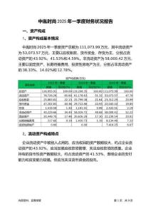 中胤時(shí)尚2025年一季度財(cái)務(wù)狀況報(bào)告