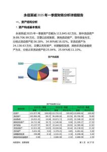 永信至誠2025年一季度財務分析詳細報告