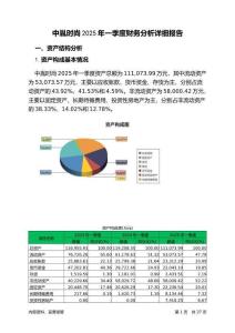 中胤時(shí)尚2025年一季度財(cái)務(wù)分析詳細(xì)報(bào)告