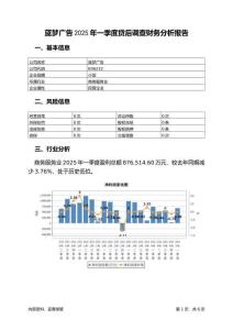 藍夢廣告2025年一季度貸后調查財務分析報告