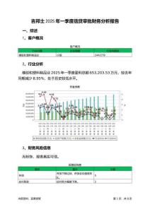 吉邦士2025年一季度信貸審批財(cái)務(wù)分析報(bào)告