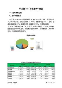 ST元成2024年管理水平報告