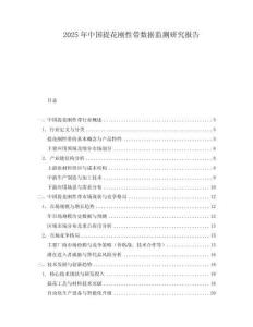 2025年中國提花剛性帶數(shù)據(jù)監(jiān)測研究報告
