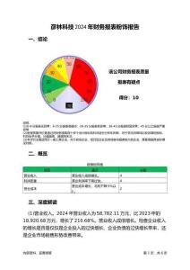 彥林科技2024年財務(wù)報表粉飾報告