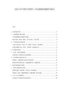 2025年中國汽車附件工具包數(shù)據(jù)監(jiān)測研究報告