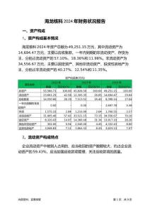 海龍核科2024年財務(wù)狀況報告