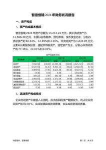 智信恒瑞2024年財務狀況報告