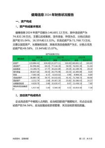 健麾信息2024年財務(wù)狀況報告