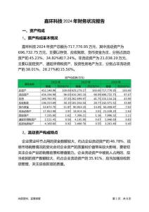 嘉環科技2024年財務狀況報告