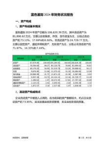 藍(lán)色星際2024年財(cái)務(wù)狀況報(bào)告