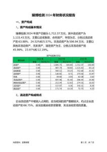 瑞博檢測2024年財務(wù)狀況報告