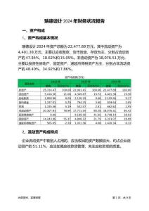 瑞德設(shè)計(jì)2024年財(cái)務(wù)狀況報(bào)告