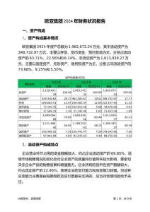 歐亞集團2024年財務(wù)狀況報告