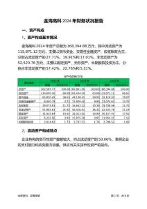 金海高科2024年財務(wù)狀況報告