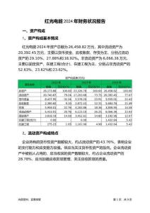 紅光電能2024年財(cái)務(wù)狀況報(bào)告