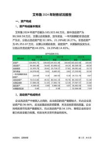 艾布魯2024年財(cái)務(wù)狀況報(bào)告
