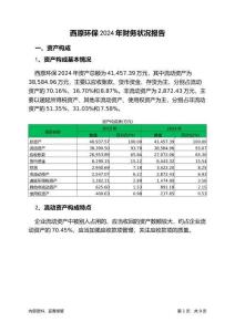 西原環(huán)保2024年財務(wù)狀況報告