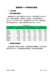 渝都傳媒2024年財(cái)務(wù)狀況報(bào)告