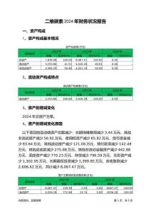 二維碳素2024年財(cái)務(wù)狀況報(bào)告