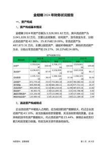 金螳螂2024年財(cái)務(wù)狀況報(bào)告
