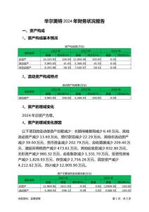 華爾美特2024年財(cái)務(wù)狀況報(bào)告