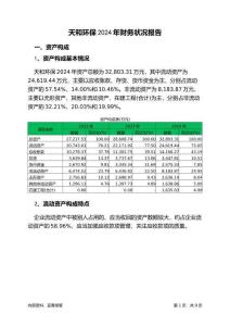 天和環(huán)保2024年財(cái)務(wù)狀況報(bào)告