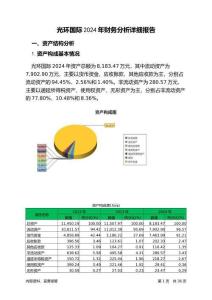 光環(huán)國際2024年財(cái)務(wù)分析詳細(xì)報(bào)告