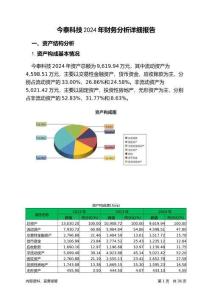 今泰科技2024年財(cái)務(wù)分析詳細(xì)報(bào)告