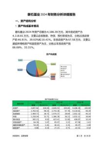 磐石基業(yè)2024年財(cái)務(wù)分析詳細(xì)報(bào)告