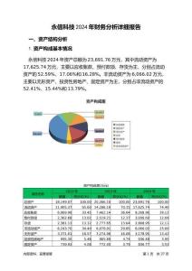 永信科技2024年財(cái)務(wù)分析詳細(xì)報(bào)告