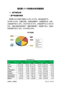 信而泰2024年財(cái)務(wù)分析詳細(xì)報(bào)告