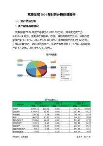 芃泰發(fā)展2024年財(cái)務(wù)分析詳細(xì)報(bào)告