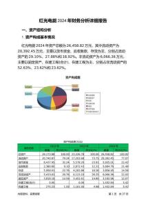 紅光電能2024年財務(wù)分析詳細(xì)報告