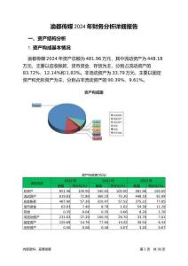 渝都傳媒2024年財(cái)務(wù)分析詳細(xì)報(bào)告