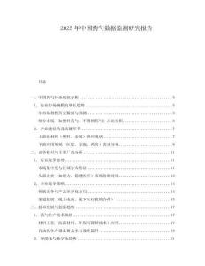 2025年中國藥勺數(shù)據(jù)監(jiān)測研究報告