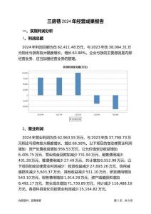 三房巷2024年经营成果报告