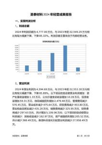 圣泰材料2024年經(jīng)營(yíng)成果報(bào)告