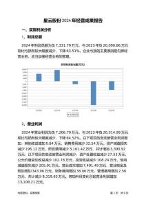 星云股份2024年經(jīng)營(yíng)成果報(bào)告