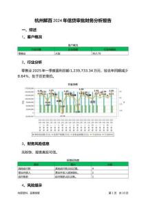杭州解百2024年信貸審批財(cái)務(wù)分析報(bào)告