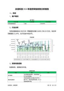 永信科技2024年信貸審批財務(wù)分析報告