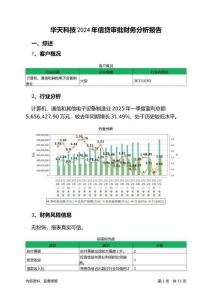 華天科技2024年信貸審批財(cái)務(wù)分析報(bào)告