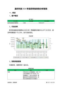 嘉環(huán)科技2024年信貸審批財(cái)務(wù)分析報(bào)告