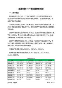 東江環(huán)保2024年財務(wù)分析報告-銀行版