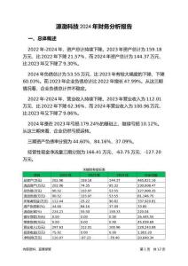 源渤科技2024年財務(wù)分析報告-銀行版