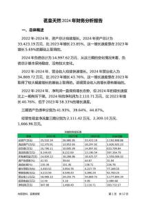 茗皇天然2024年財務(wù)分析報告-銀行版