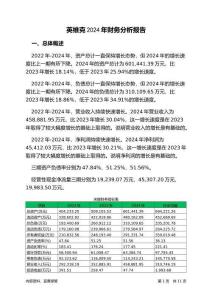 英維克2024年財務(wù)分析報告-銀行版
